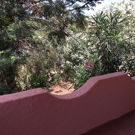 Villa Il Fenicottero Rosa Olbia Exterior foto