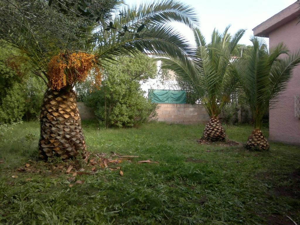 Villa Il Fenicottero Rosa Olbia Exterior foto
