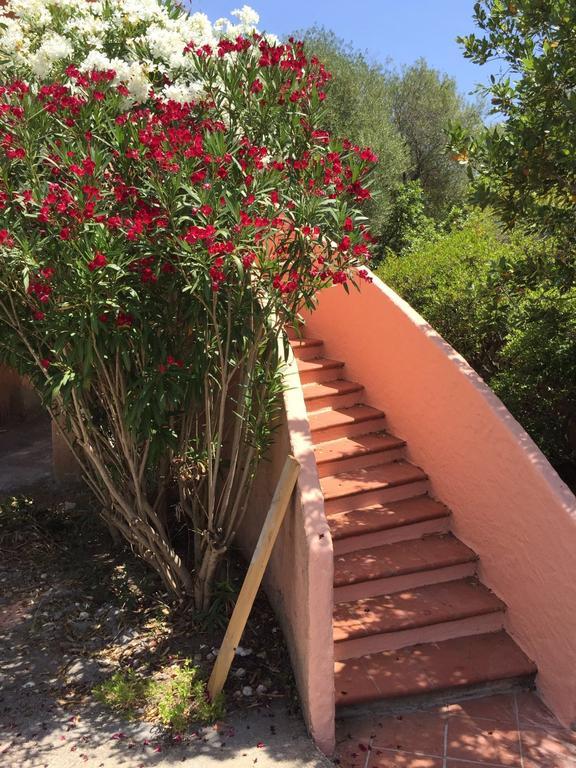 Villa Il Fenicottero Rosa Olbia Exterior foto